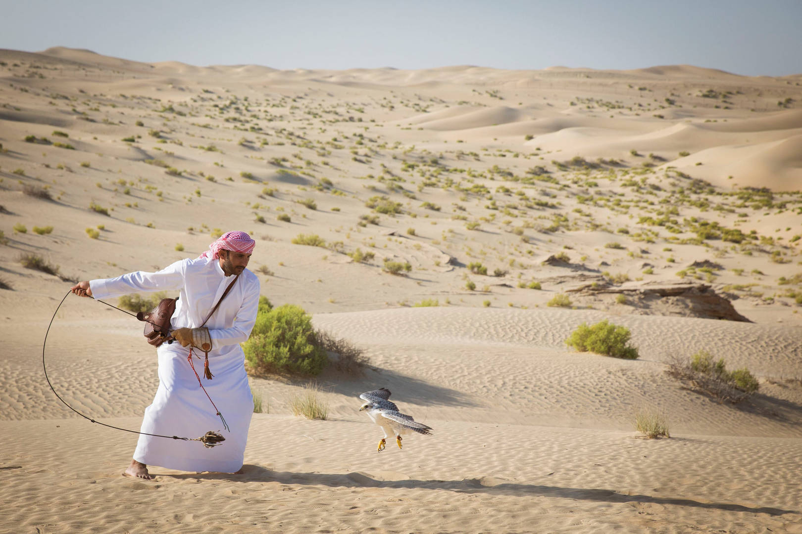 Man training the falcon