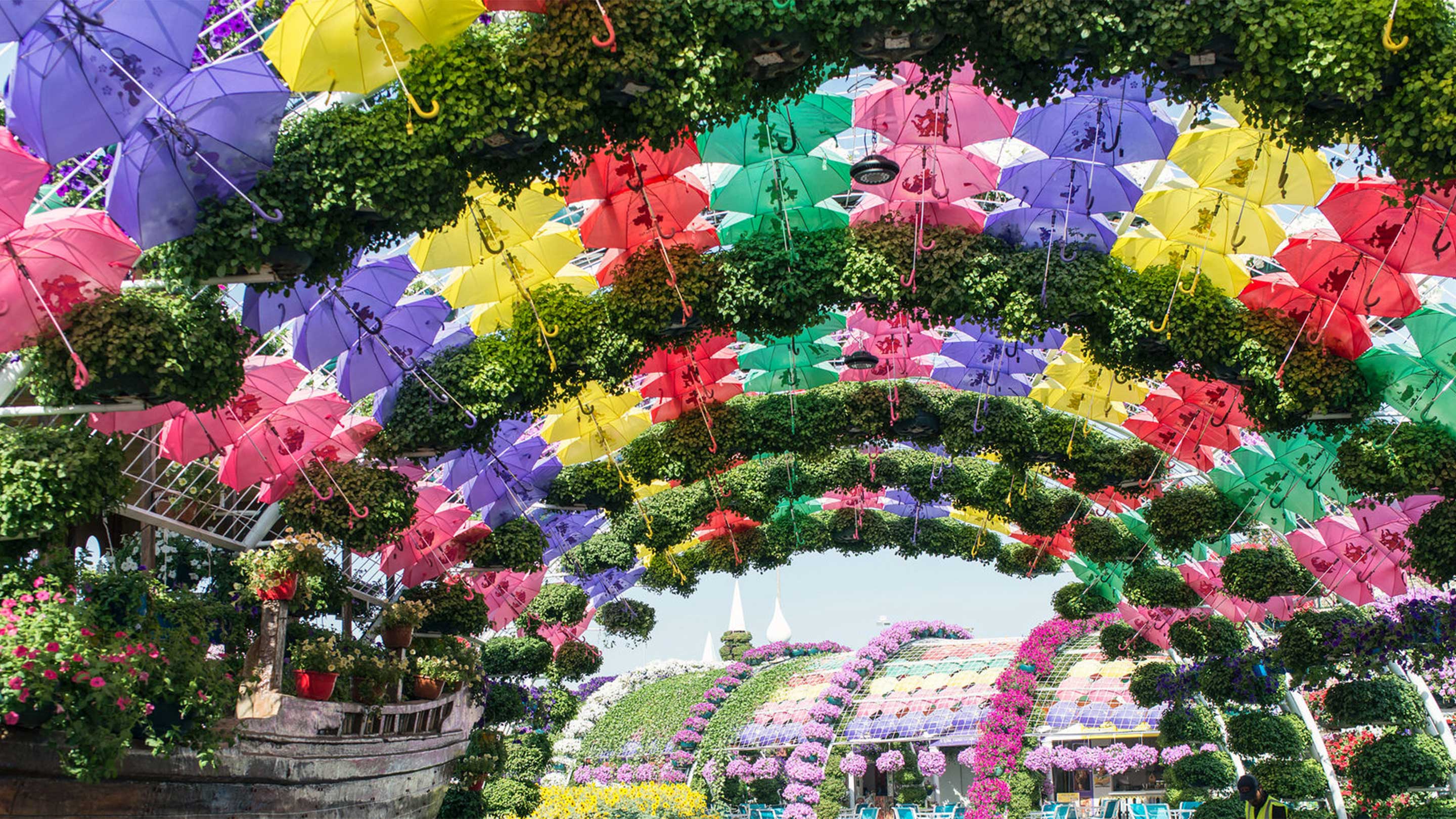 16 9 Photo Copy of Dubai Miracle Garden