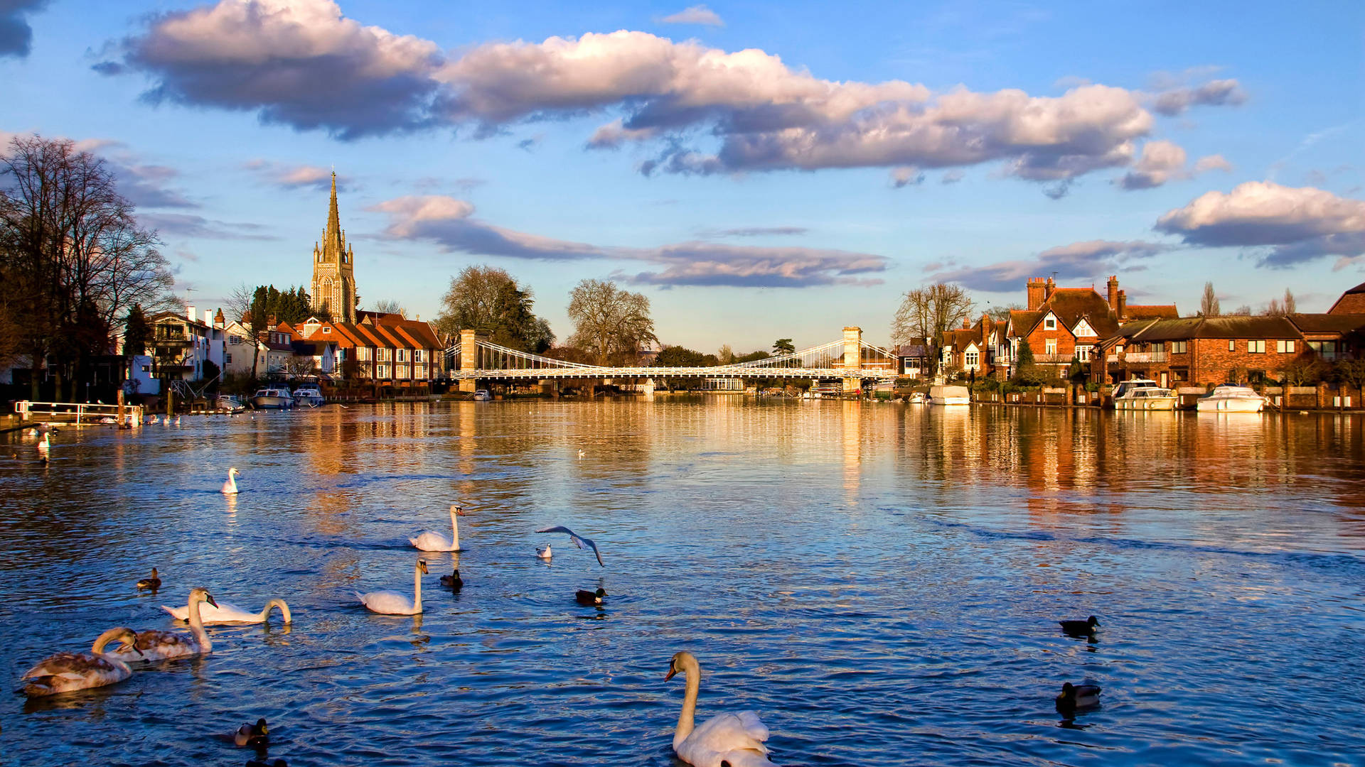 Marlow bridge in evening sun 