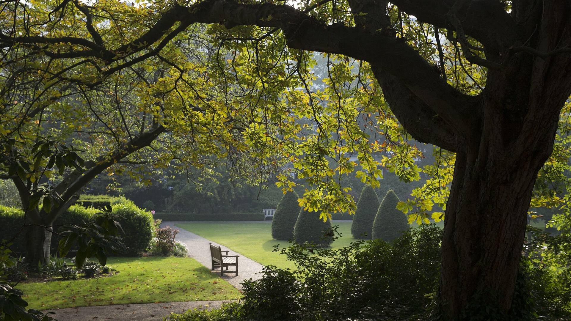 London park view 