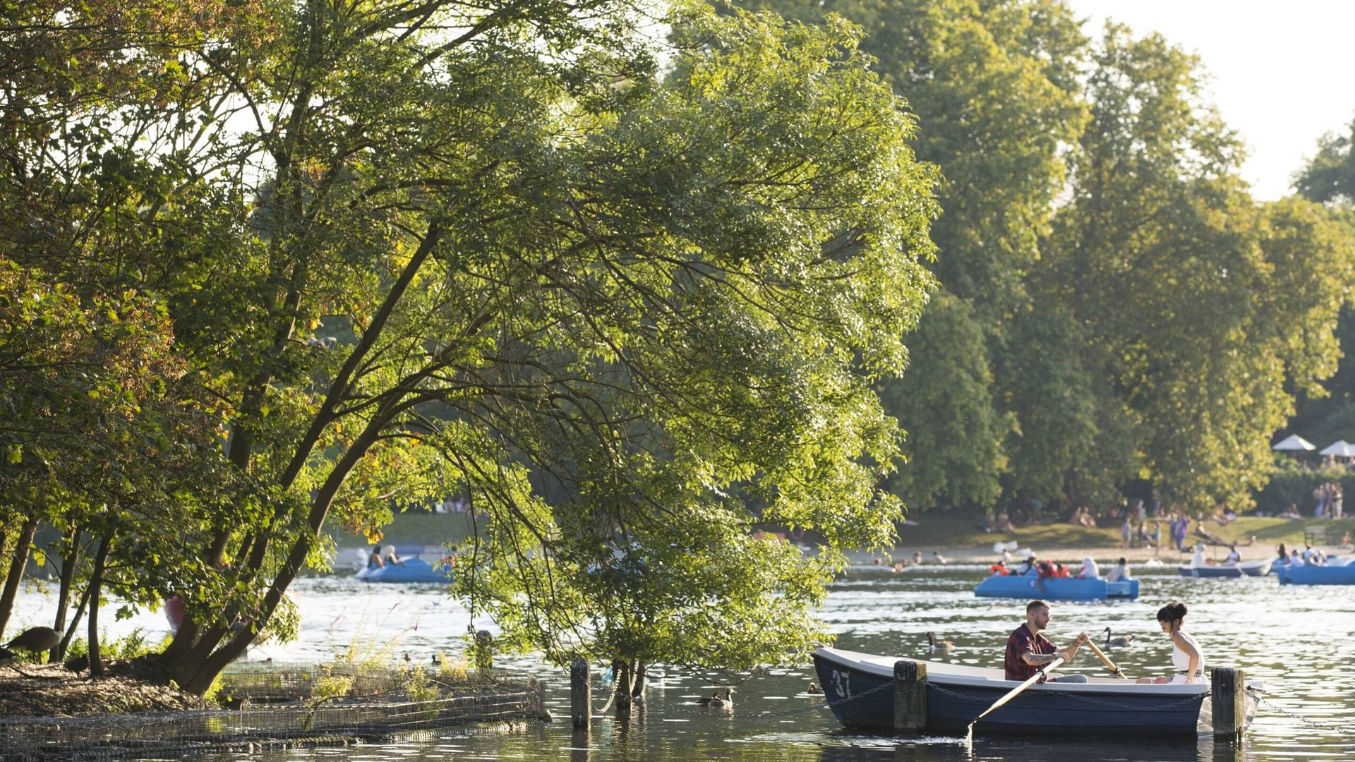 Lake at London park