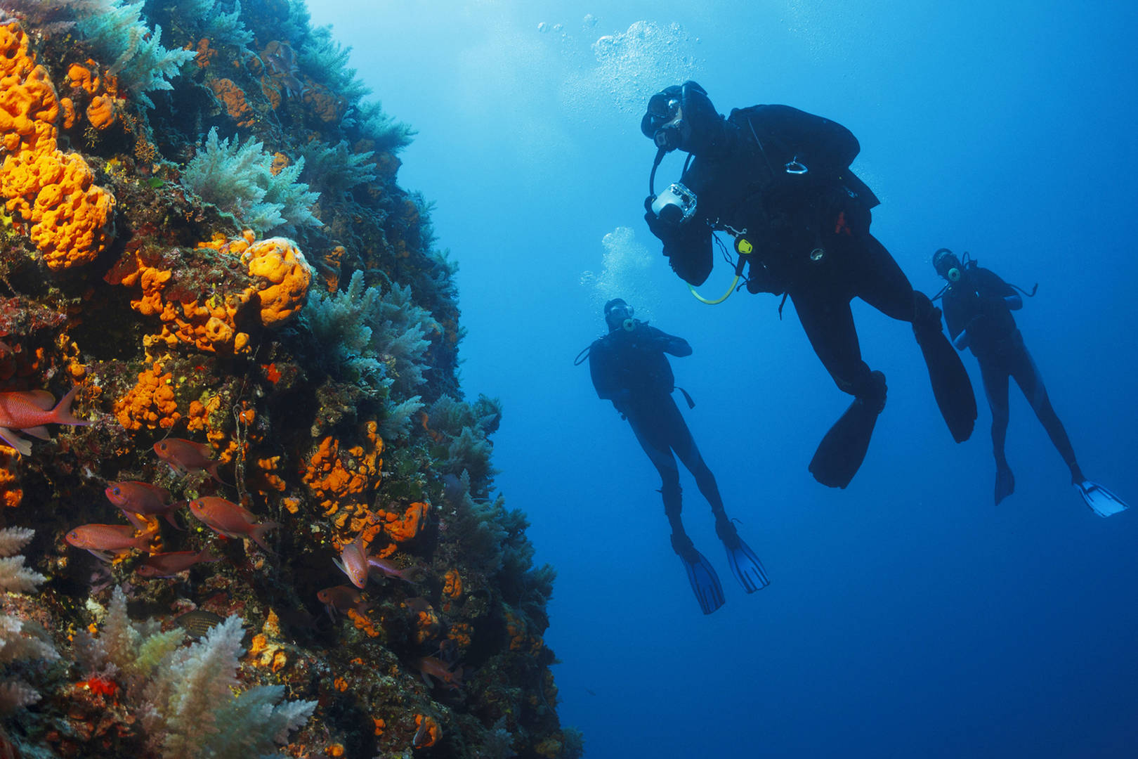 Diving in Mallorca Jumeirah