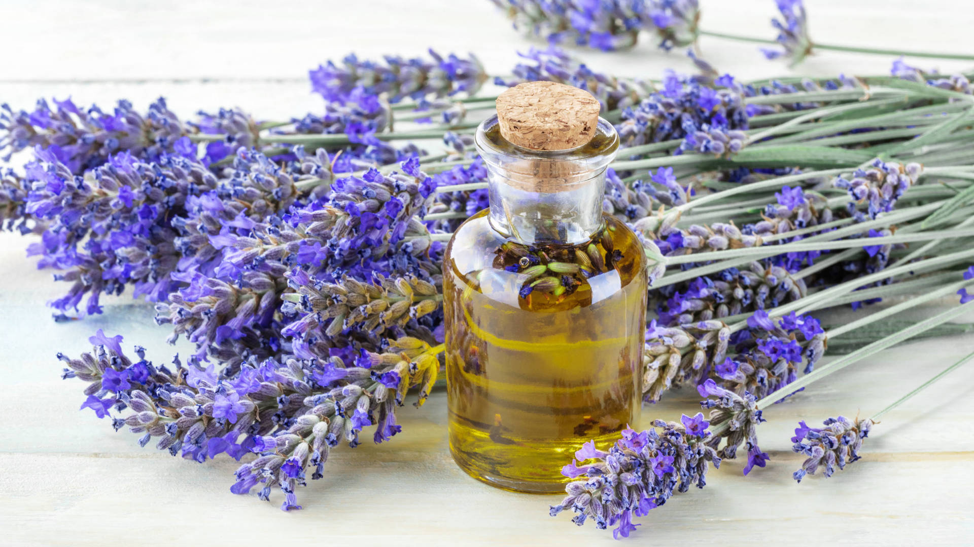 Lavender essential oil